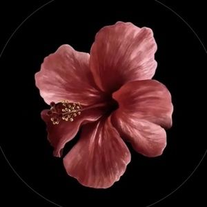 Meet your Posher, Divina